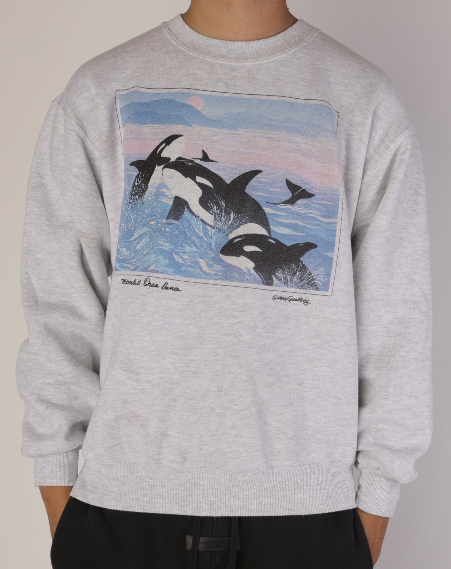 90's Orca Whales Crewneck Size M